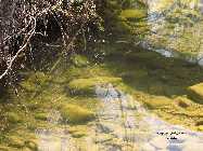 IMG_8682.jpg