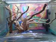 DSC00234 (480x360).jpg