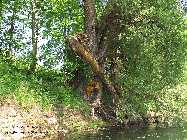 IMG_8832.jpg