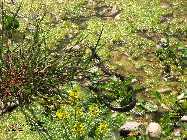 IMG_8857.jpg