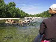 IMG_8923.jpg