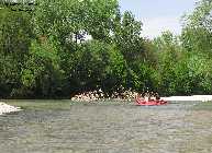 IMG_8930.jpg