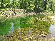 IMG_8962.jpg