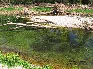 IMG_8976.jpg