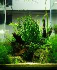 Cube_2_220511.jpg