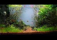 DSC00784.jpg