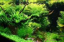 28.05.08 250 liter 009_(800_x_600).jpg