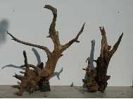 Wood_1_2.jpg