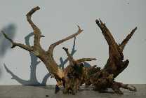Wood_1_3.jpg