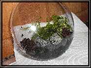 compAquarium Auenland 106.jpg