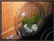 compAquarium Auenland 107.jpg