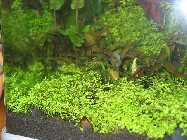k-IMG_2092.jpg