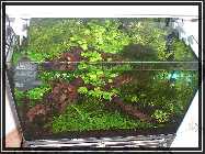 compAquarium Auenland 111.jpg