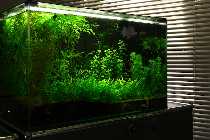 LED Konzept 1.jpg