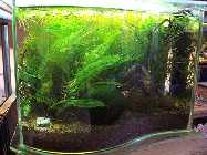20-07-07_1017.jpg