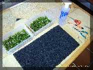 comp_JD600692.jpg