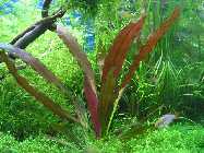 k-IMG_2279.jpg