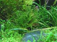 k-IMG_2295.jpg