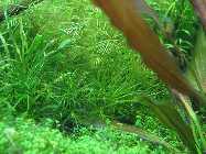 k-IMG_2294.jpg