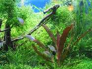k-IMG_2298.jpg