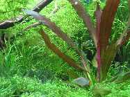 k-IMG_2304.jpg