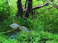 k-IMG_2310.jpg