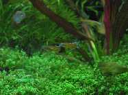 k-IMG_2319.jpg