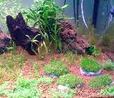 Aquarium 2 neu.jpg
