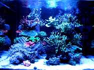 IMG_83361.jpg