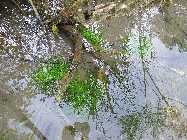 IMG_2571.jpg