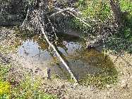 IMG_2579.jpg