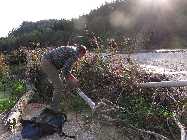 IMG_2595.jpg
