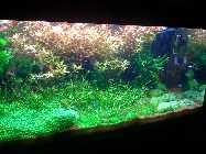 Foto2002.jpg