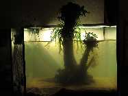 IMG_2874.jpg