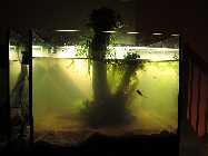 IMG_2884.jpg