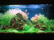 2011-10-14 18.20.25 Bild.jpg