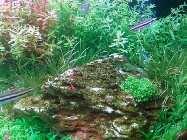 2011-10-14 18.20.46 Bild.jpg