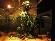 IMG_3084.jpg