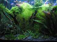 k-IMG_2404.jpg