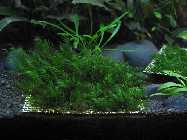 k-IMG_2406.jpg