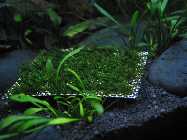 k-IMG_2405.jpg