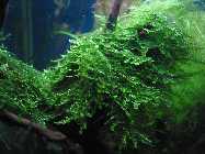 k-IMG_2410.jpg