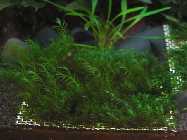 k-IMG_2393.jpg