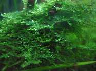 k-IMG_2398.jpg