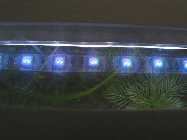 k-IMG_2388.jpg