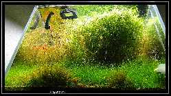 comp_DSC01002.jpg