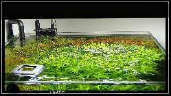comp_DSC00999.jpg