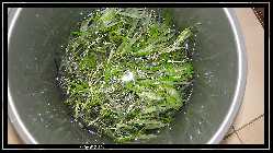comp_DSC01011.jpg