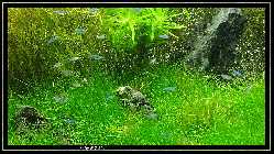 comp_DSC01069.jpg