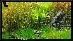comp_DSC01072.jpg